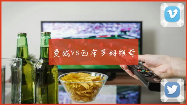 曼城vs西布罗姆维奇